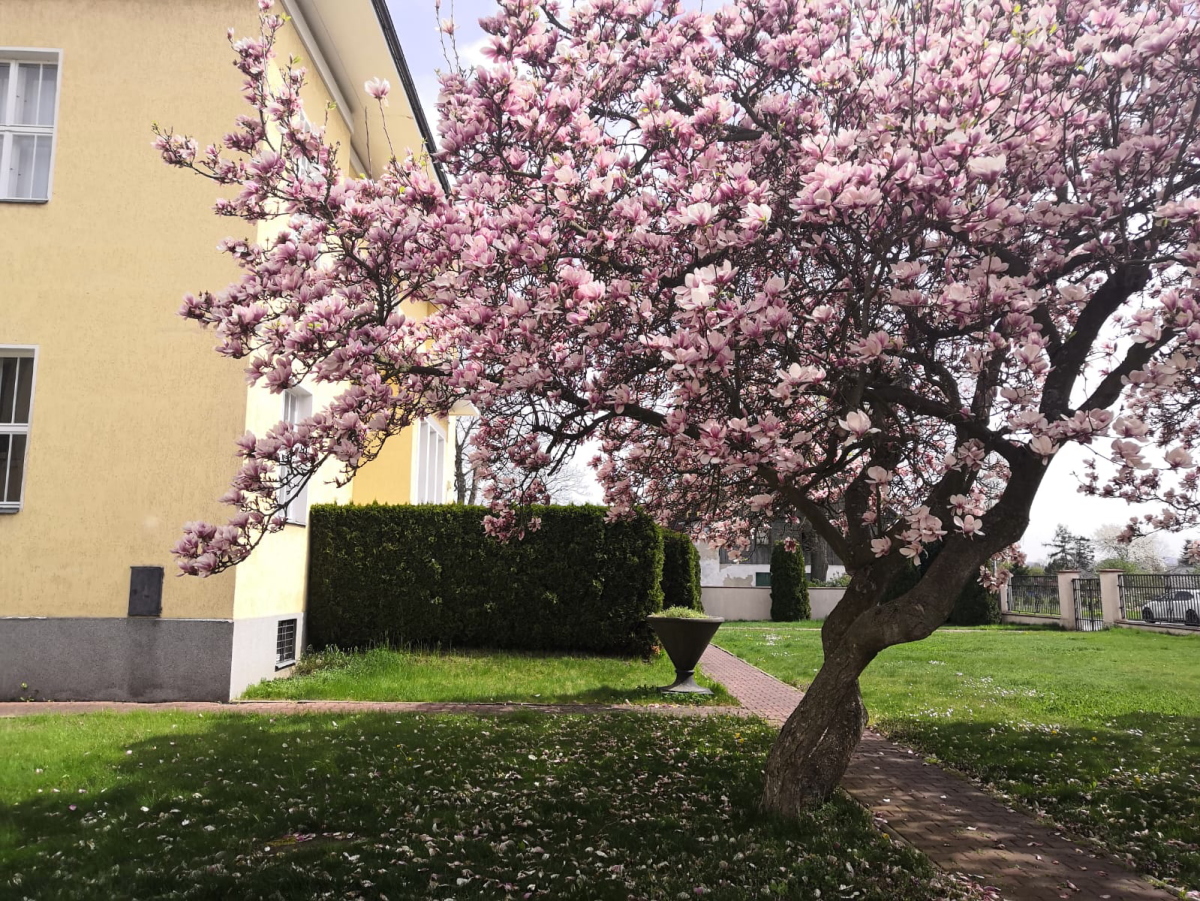 2025-04-17_jaro_julia_47_web