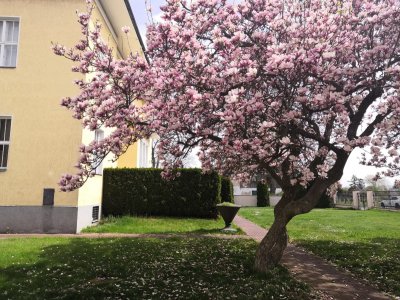 2025-04-17_jaro_julia_47_web