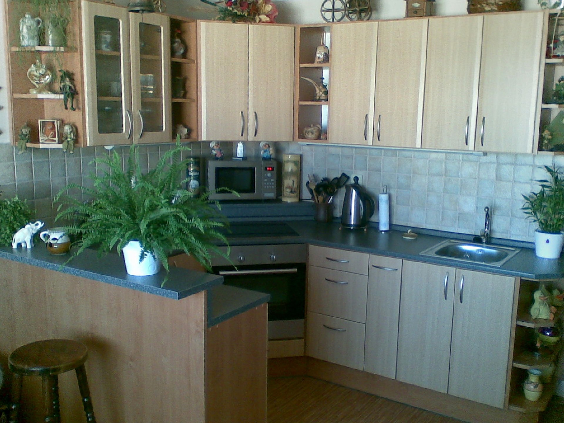 2009-08-24_kuchyn_002