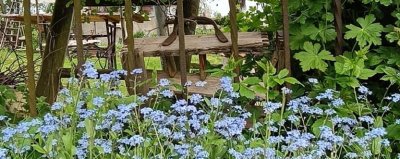 Frühling in Varnsdorf und Umgebung